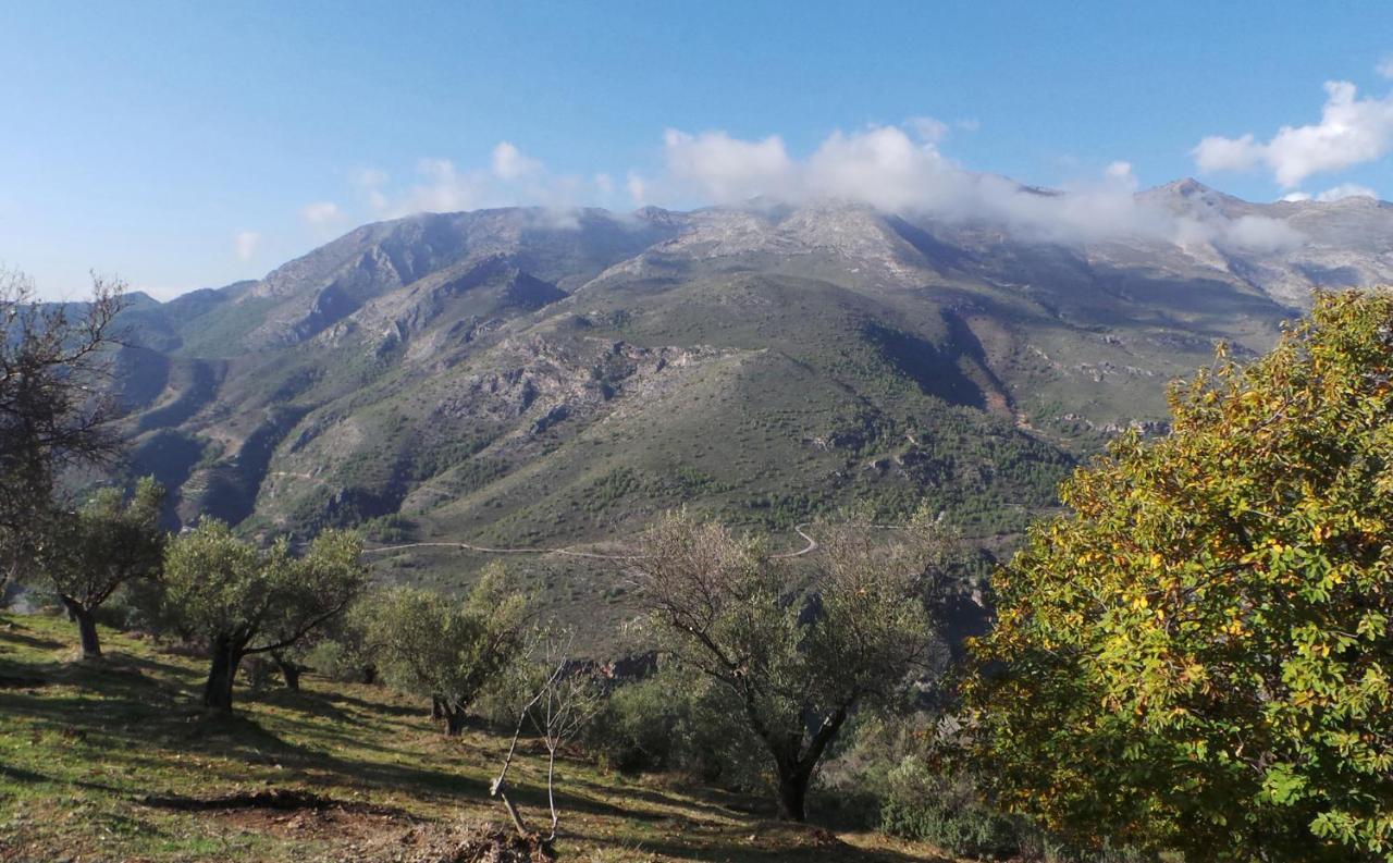 Cortijo Luque Villa Нерха Екстериор снимка